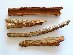 Група „грипни“ случаи на China (Cinchona) officinalis